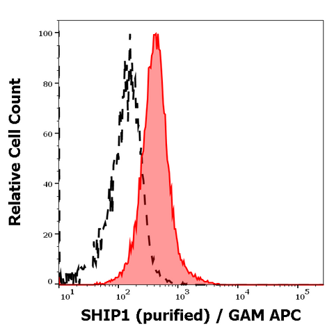 Purified Anti-Human SHIP (SHIP-02)