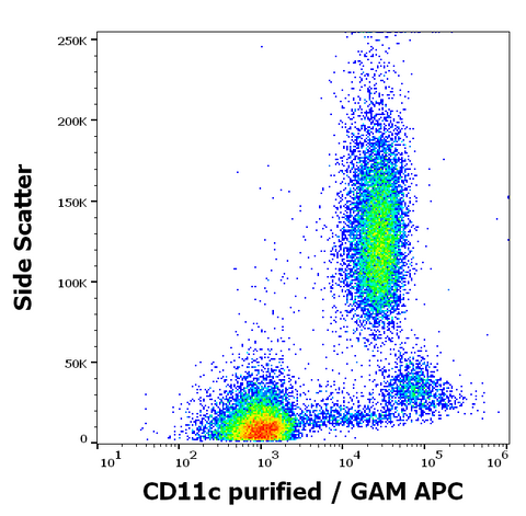 Purified Anti-Human CD11c (BU15)