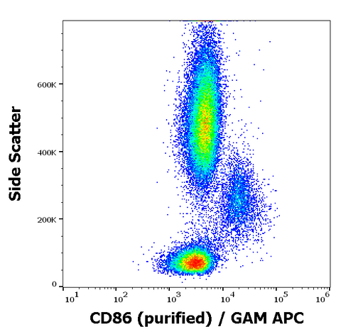 Purified Anti-Human CD86 (B7-2) (BU63)