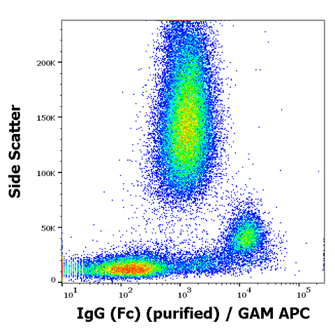 Purified Anti-Human IgG FC (EM-07)