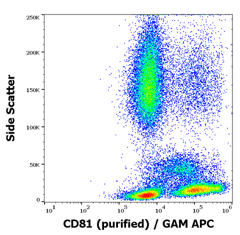 Purified Anti-Human CD81 (M38)