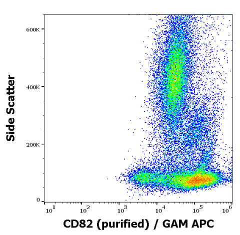Purified Anti-Human CD82 (C33)