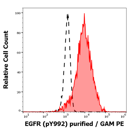 Purified Anti-Human EGFR (pY992) (EM-12)