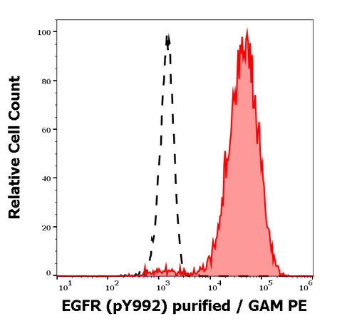 Purified Anti-Human EGFR (pY1173) (EM-13)