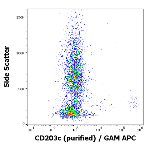 Purified Anti-Human CD203c (NP4D6)