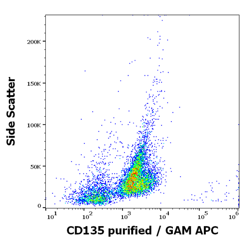Purified Anti-Human CD135 (FLT3) (BV10A4)