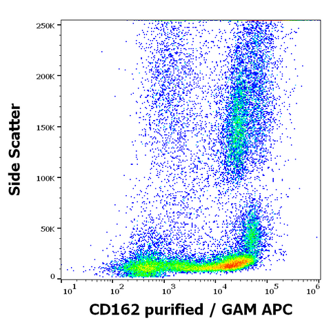 Purified Anti-Human CD162 (TC2)