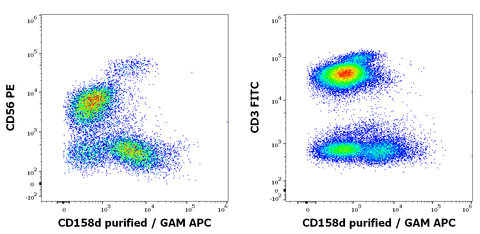 Purified Anti-Human CD158d (mAb 33)