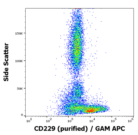 Purified Anti-Human CD229 (HLy9.25)