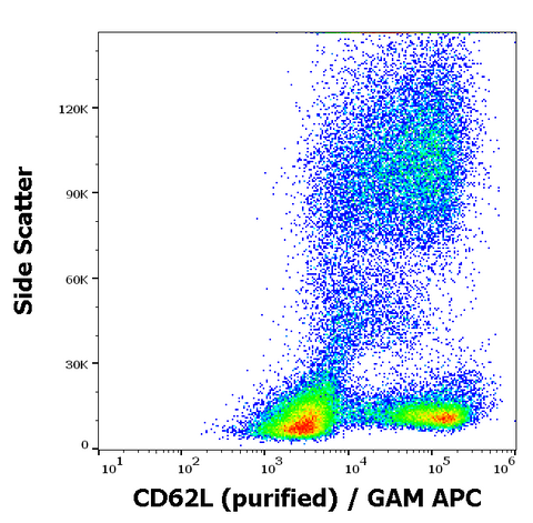 Purified Anti-Human CD62L (L-Selectin) (DREG56)