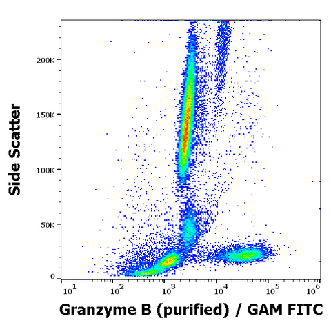 Purified Anti-Human Granzyme B (CLB-GB11)