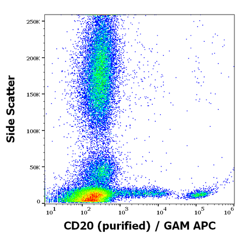 Purified Anti-Human CD20 (2H7)