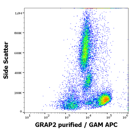 Purified Anti-Human GRAP2 (UW40)