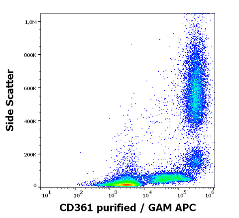 Purified Anti-Human CD361 (MEM-216)