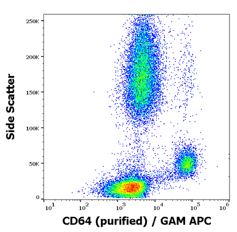 Purified Anti-Human CD64 (10.1)