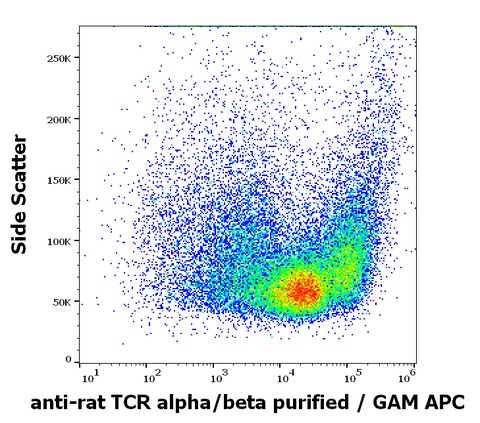 Purified Anti-Rat TCR a/b (R73)