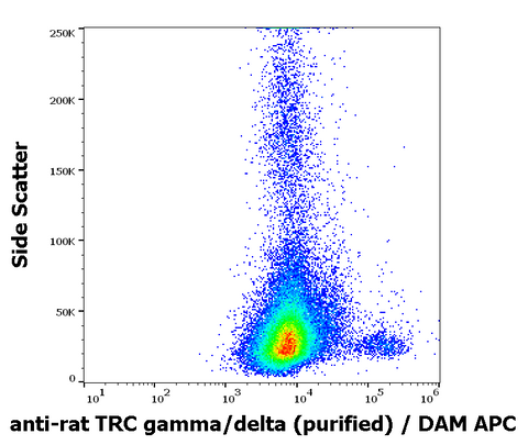 Purified Anti-Rat TCR γ/δ (V65)