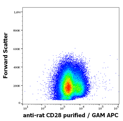 Purified Anti-Rat CD28 (JJ319)