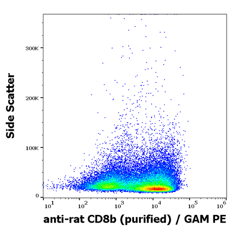 Purified Anti-Rat CD8b (341)