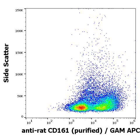 Purified Anti-Rat CD161 (NK1.1) (10/78)
