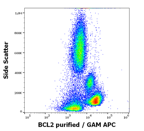 Purified Anti-Human Bcl-2 (BCL-2/100)