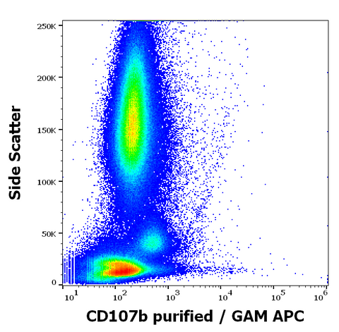 Purified Anti-Human CD107b (LAMP-2) (H4B4)