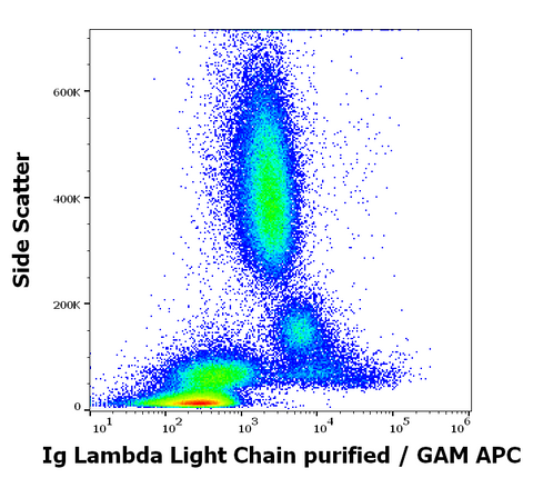 Purified Anti-Human Ig Lambda (1-155-2)
