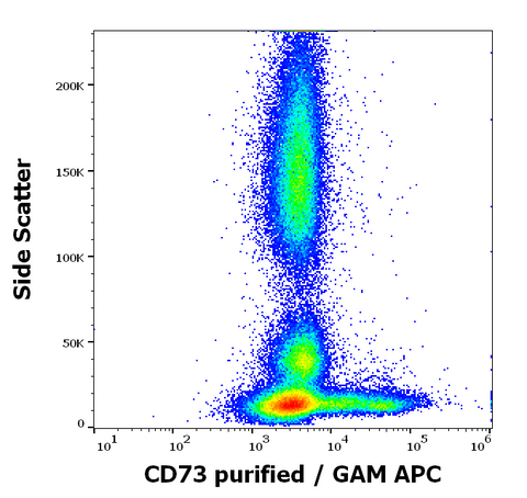 Purified Anti-Human CD73 (AD2)