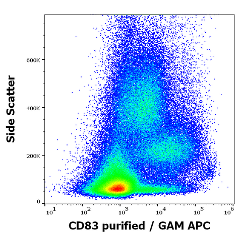 Purified Anti-Human CD83 (HB15e)