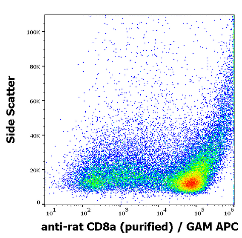 Purified Anti-Rat CD8a (OX8)