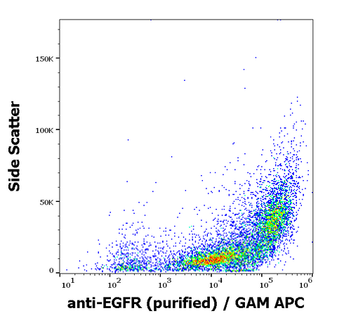 Purified Anti-Human EGFR (EGFR1)