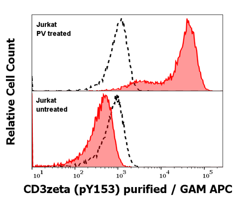 Purified Anti-Human CD3 Zeta (pY153) (EM-17)