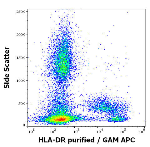 Purified Anti-Human HLA-DR (L243)