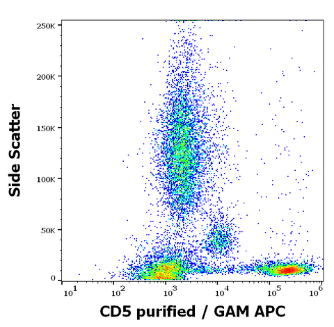 Purified Anti-Human CD5 (L17F12)