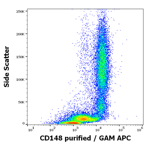 Purified Anti-Human CD148 (MEM-CD148/05)