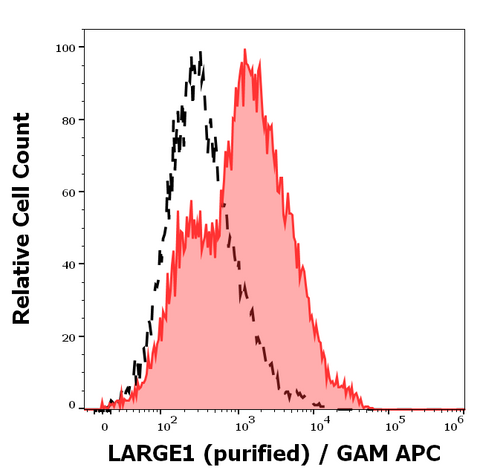 Purified Anti-Human LARGE1 (LARGE-02)