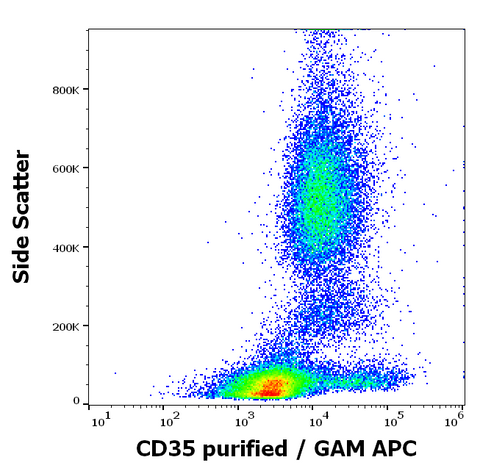 Purified Anti-Human CD35 (E11)