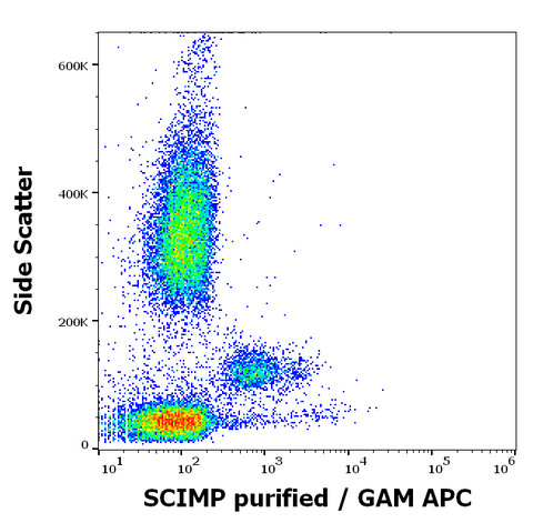 Purified Anti-Human SCIMP (NVL-07)