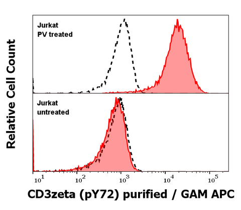 Purified Anti-Human CD3 Zeta (pY72) (EM-26)