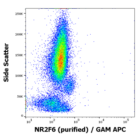 Purified Anti-Human NR2F6 (EM-51)