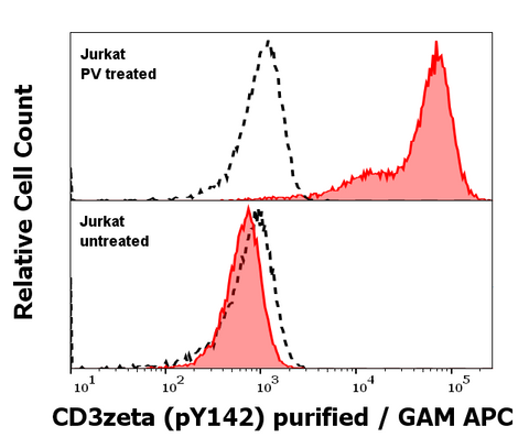 Purified Anti-Human CD3 Zeta (pY142) (EM-54)
