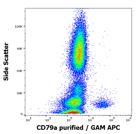 Purified Anti-Human CD79a (HM47)