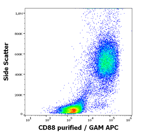 Purified Anti-Human CD88 (S5/1)