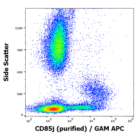 Purified Anti-Human CD85j (GHI/75)