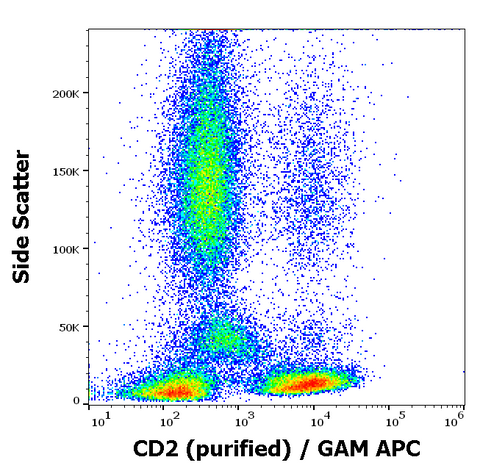 Purified Anti-Human CD2 (TS1/8)