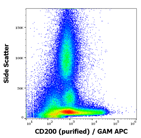 Purified Anti-Human CD200 (OX-104)