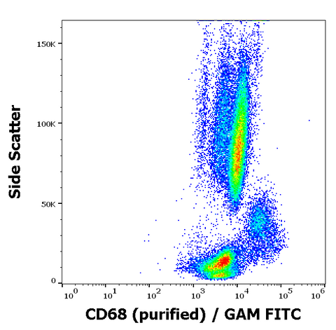Purified Anti-Human CD68 (Y1/82A)