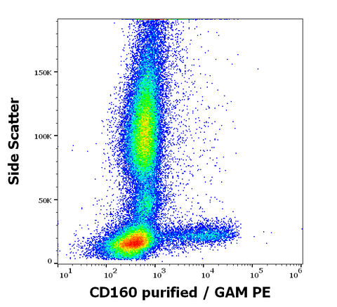 Purified Anti-Human CD160 (NK1) (BY55)