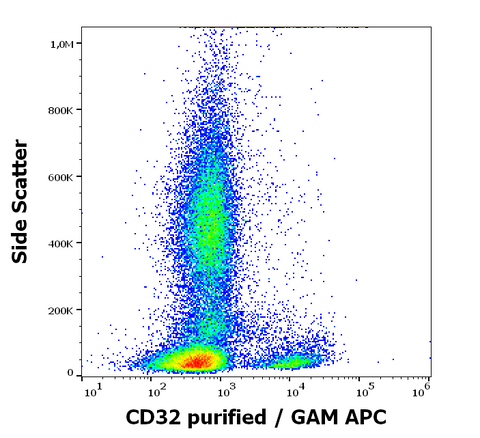 Purified Anti-Human CD32 (3D3)