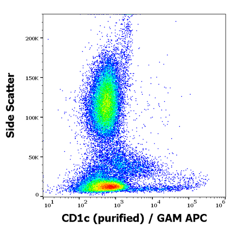 Purified Anti-Human CD1c (L161)